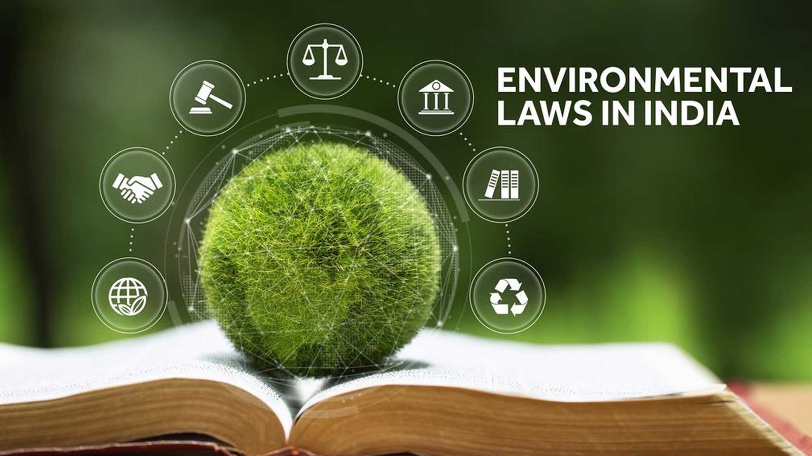 Environmental Laws in India