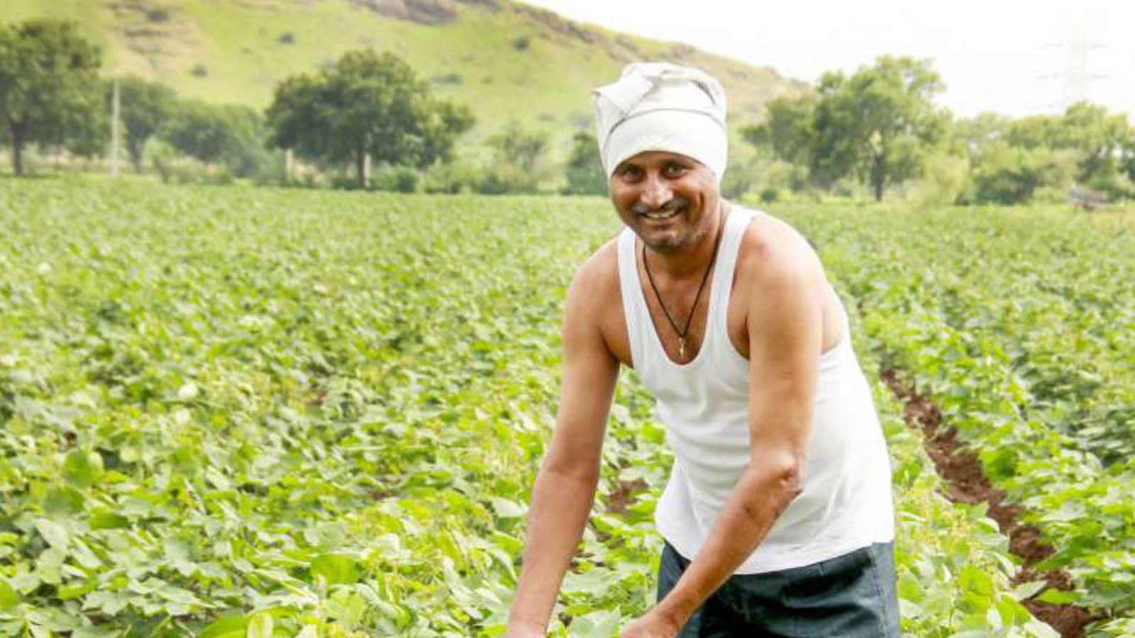 Sustainable Farming in India