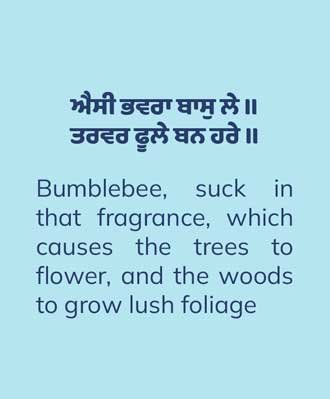 A Passionate Affair with Trees